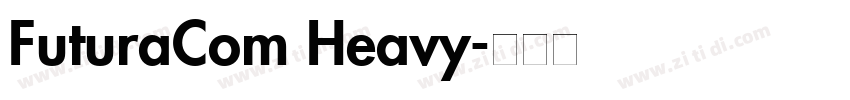 FuturaCom Heavy字体转换